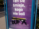 Wpis grot