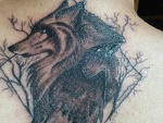 Fotoblog wk6532