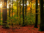 Fotoblog mojedzieciatka