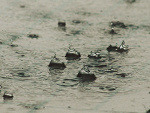 Fotoblog marti91