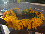 Fotoblog lbialobrzewski