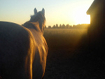 Fotoblog dusiak98