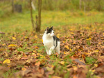Fotoblog psstryk22