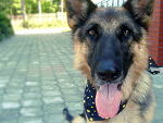 Fotoblog xdbecauselifeisfunxd
