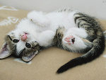 Fotoblog callmeolgiee