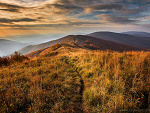 Fotoblog goteno