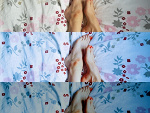 Fotoblog bellammama
