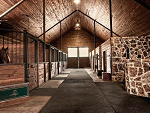 Fotoblog rothstable