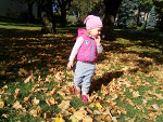 Fotoblog ccat