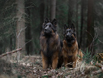 Fotoblog patid1220