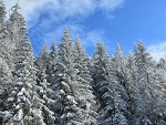 Fotoblog c1oser