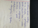 Fotoblog nonymou