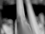 Fotoblog kforeverliving