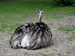 Fotoblog iviv
