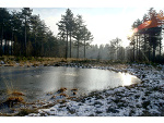 Fotoblog verbrijzeld