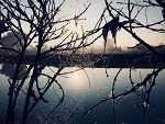 Fotoblog pooolczix