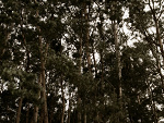 Fotoblog asikk96