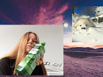 Fotoblog gwynnbleid