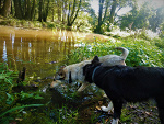 Fotoblog asiambb