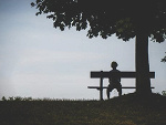 Fotoblog 0431