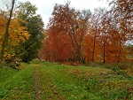 Fotoblog skaleckamalgorzatafoto