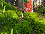 Fotoblog hubertmigun