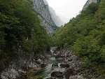 Fotoblog koleja
