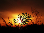 Fotoblog adermanfoto