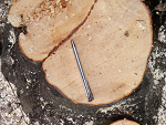 Fotoblog ijcy022