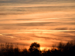 Fotoblog zasy07