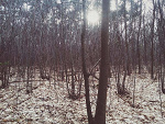Fotoblog timecatcher