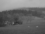 Fotoblog tutylkogabi