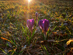 Fotoblog dustymoon
