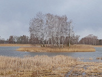 Fotoblog ziolmoni