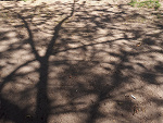 Fotoblog monlait