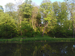 Fotoblog misiekrasta