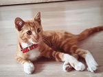 Fotoblog innocentsoulxx3