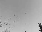 Fotoblog mmmalyee