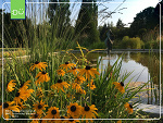 Ogród botaniczny w Berlinie cz.2