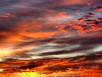 Fotoblog fotonature54
