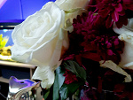 Fotoblog landrynkoweloveee