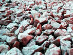 Fotoblog scott2918