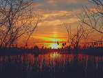 Fotoblog zajeec