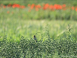 Fotoblog anerom