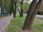 Fotoblog iwantyouagain