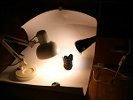 Fotoblog thesilentcircus