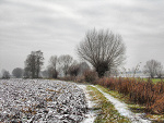 Fotoblog raphael9494