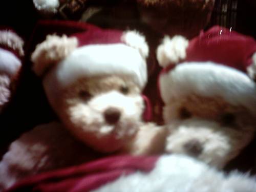 Misie:)