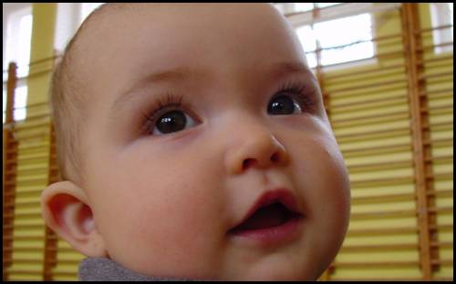 little hapiness