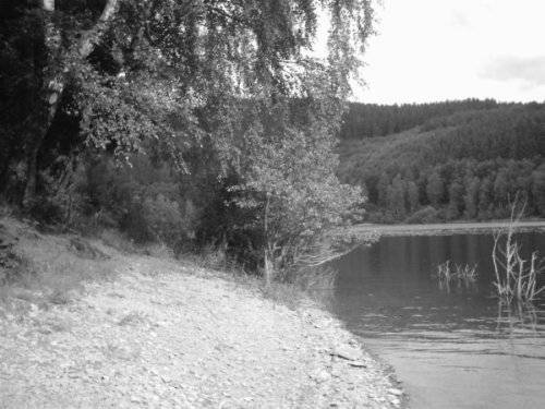 hennesee